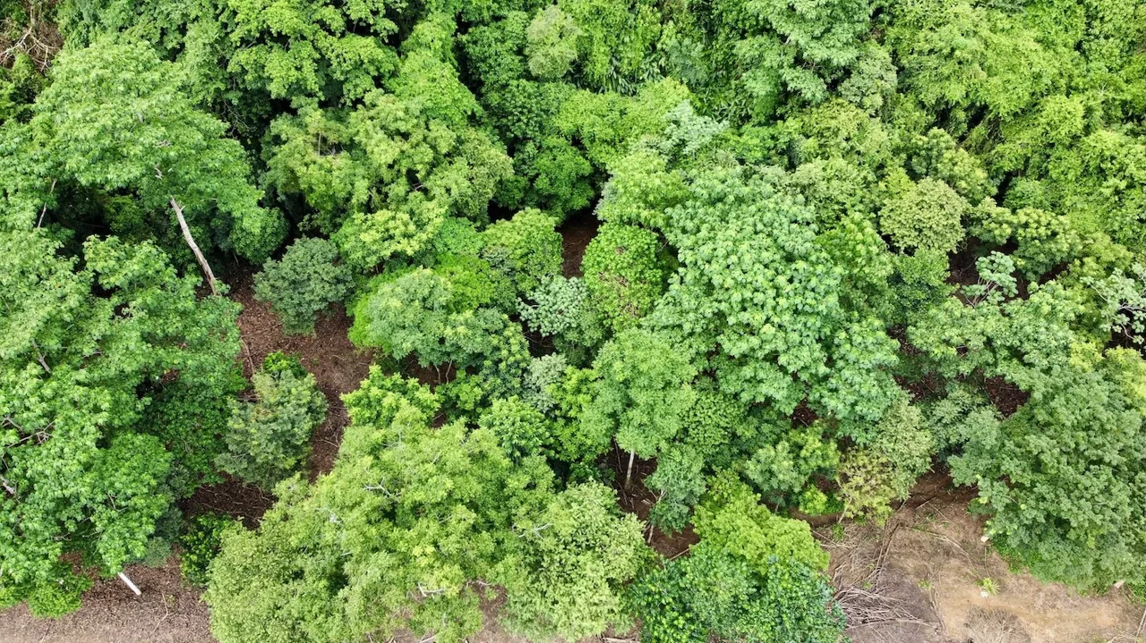 BUILDING PROPERTY WITH FRONT PUBLIC ROAD VIEWS, IN CHONTALES – 0.29 ACRES, photo 7
