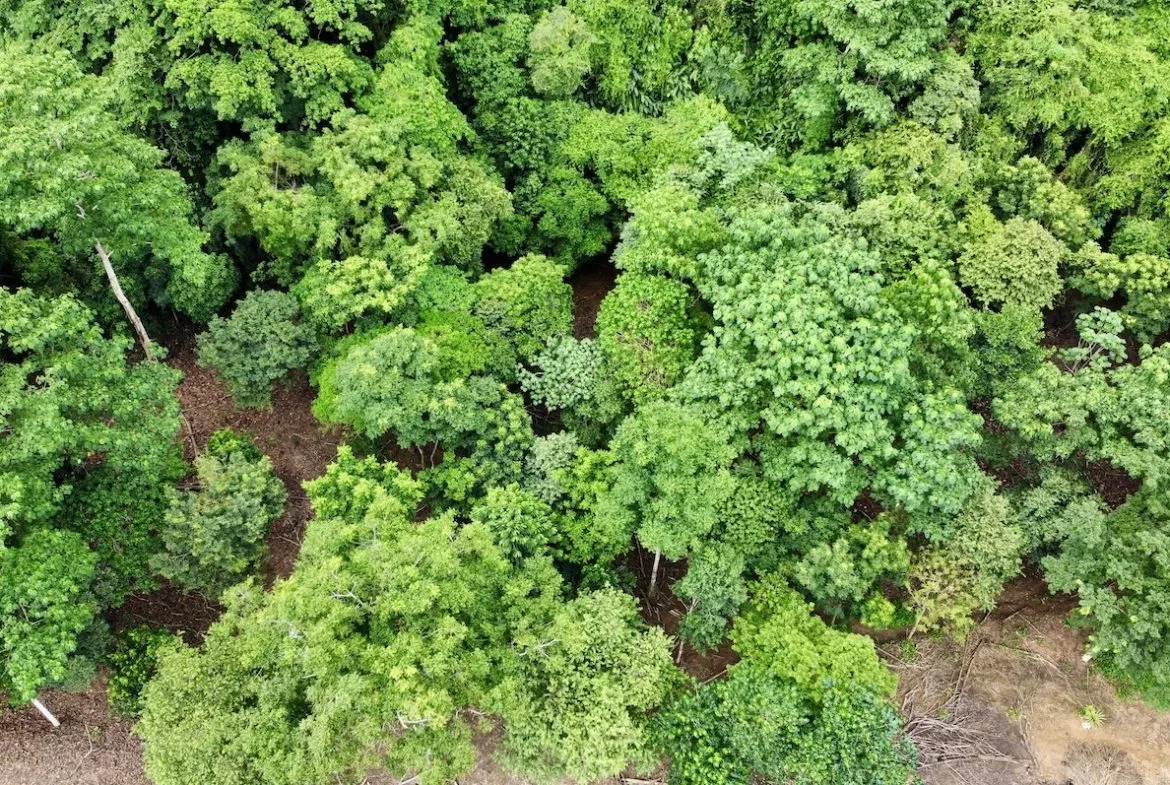 BUILDING PROPERTY WITH FRONT PUBLIC ROAD VIEWS, IN CHONTALES – 0.29 ACRES, photo 8