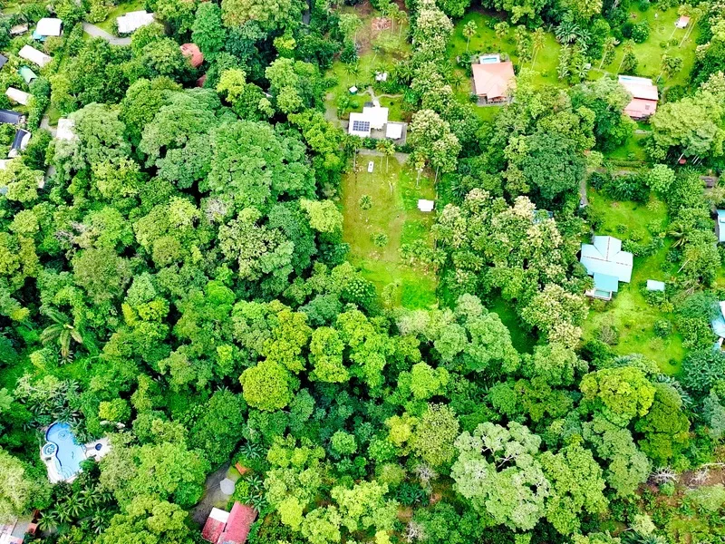 Land For Sale in Cahuita, photo 5