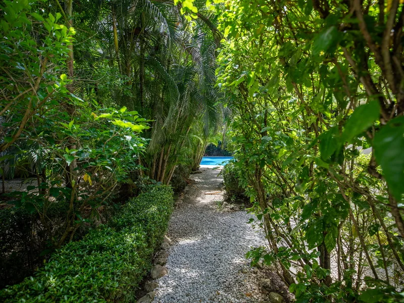 3 Bed Single Family Homes For Sale in Nosara, photo 15