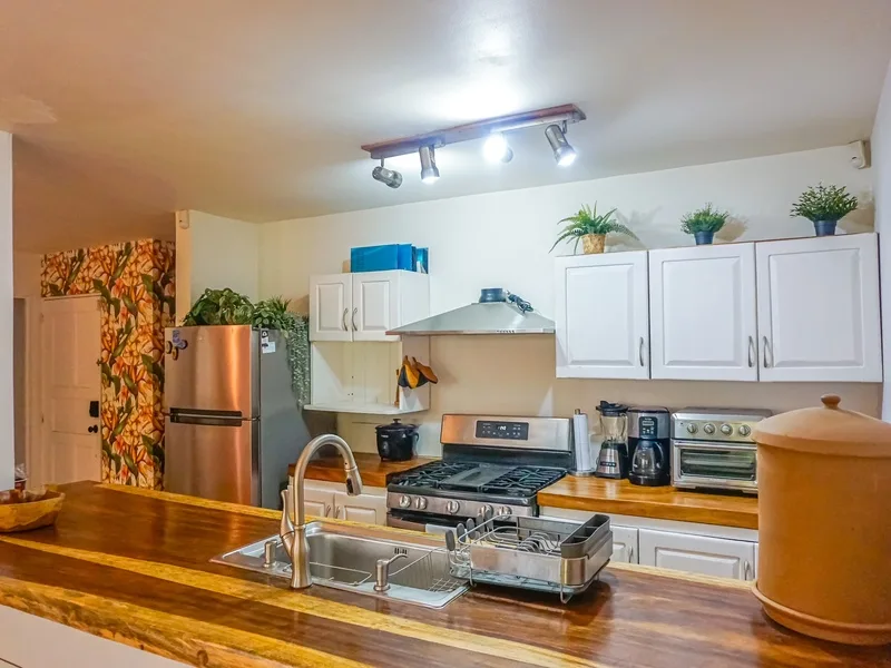 3 Bed Single Family Homes For Sale in Nosara, photo 4