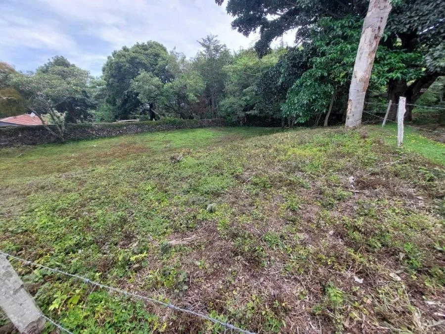 FINCA PRODUCTIVA DE MAMÓN CHINO EN VENTA – PÉREZ ZELEDÓN - Venta en Perez Zeledón, photo 12