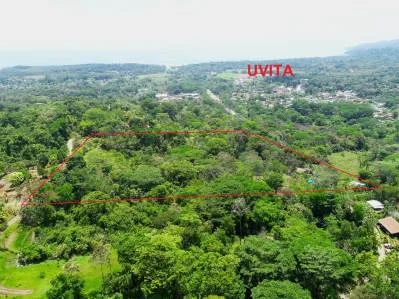 Propiedad de Inversión de 4 Hectáreas en Uvita | Vistas al Océano y Potencial de Desarrollo, photo 2