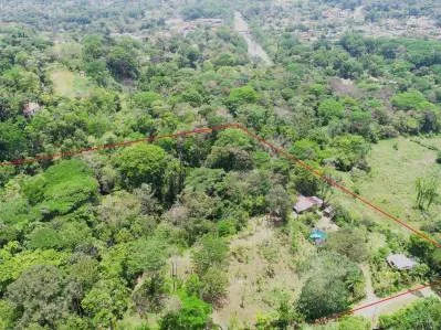 Propiedad de Inversión de 4 Hectáreas en Uvita | Vistas al Océano y Potencial de Desarrollo, photo 3
