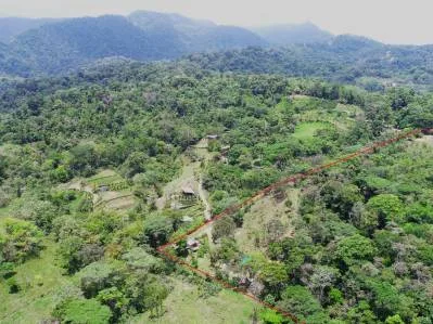 Propiedad de Inversión de 4 Hectáreas en Uvita | Vistas al Océano y Potencial de Desarrollo, photo 7