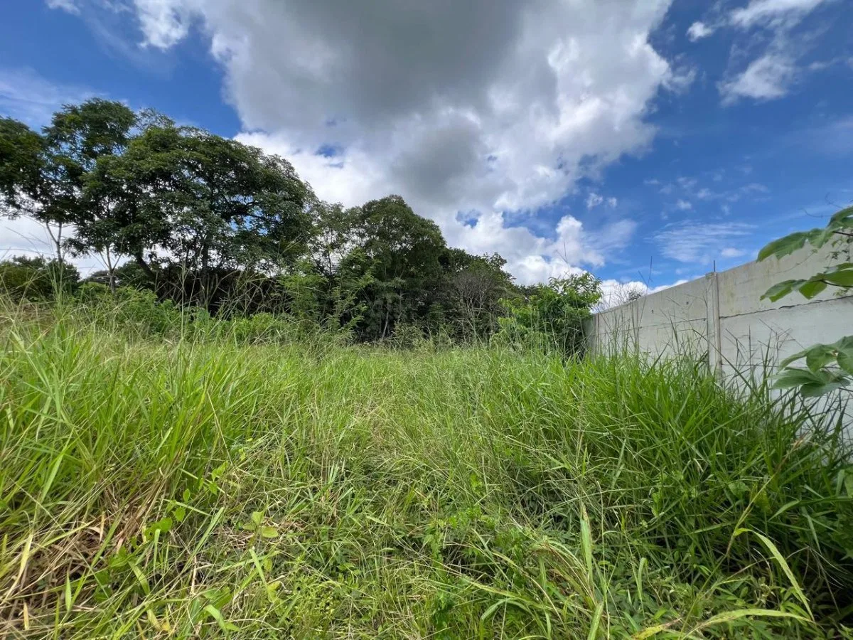 Lote plano en San Pablo de Turrubares con gran potencial residencial #26-1316 GS - Venta en Turrubares, photo 2