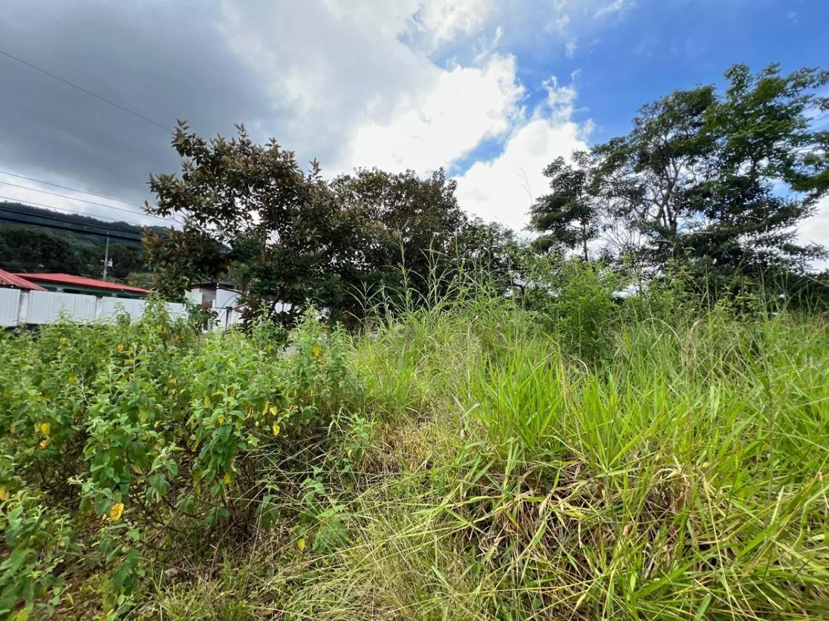 Lote plano en San Pablo de Turrubares con gran potencial residencial #26-1316 GS - Venta en Turrubares, photo 3