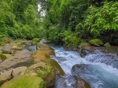 Uvita First Ridge 16.5 Acres, Fantastic Views, Ready To Build With Private Swimming Holes, photo 3