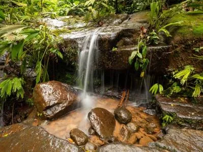 Uvita First Ridge 16.5 Acres, Fantastic Views, Ready To Build With Private Swimming Holes, photo 7