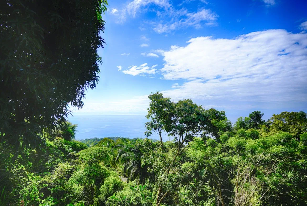 OCEAN VIEW LOT READY TO BUILD IN ESCALERAS – 1.18 ACRES, photo 2