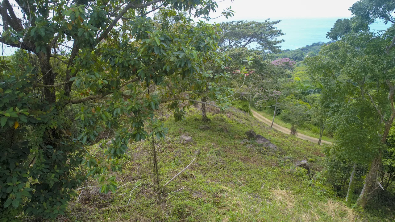 OCEAN VIEW LOT READY TO BUILD IN ESCALERAS – 1.18 ACRES, photo 16
