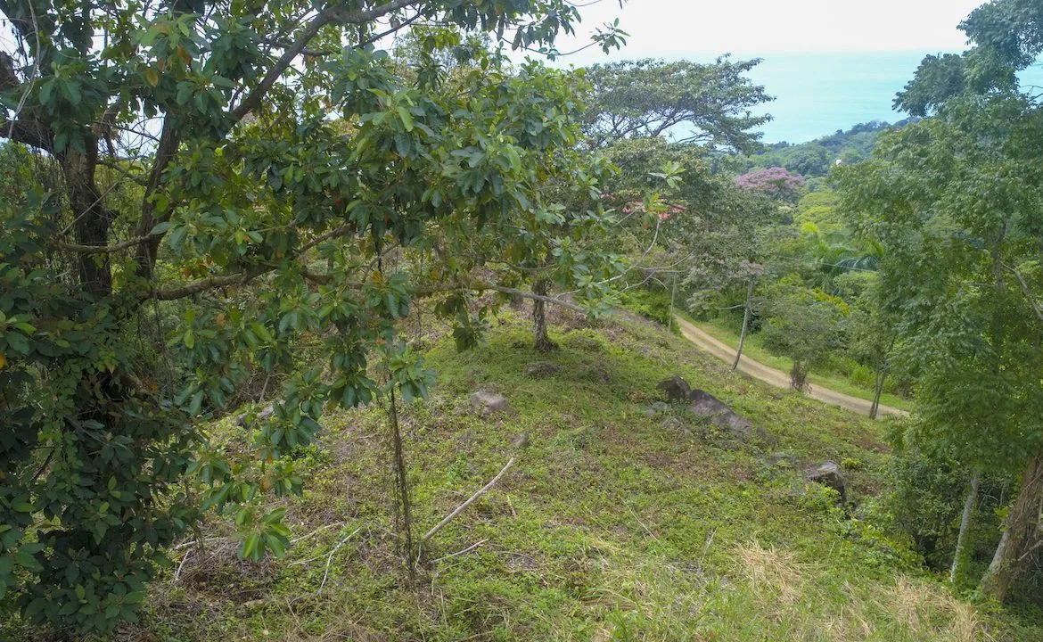 OCEAN VIEW LOT READY TO BUILD IN ESCALERAS – 1.18 ACRES, photo 17