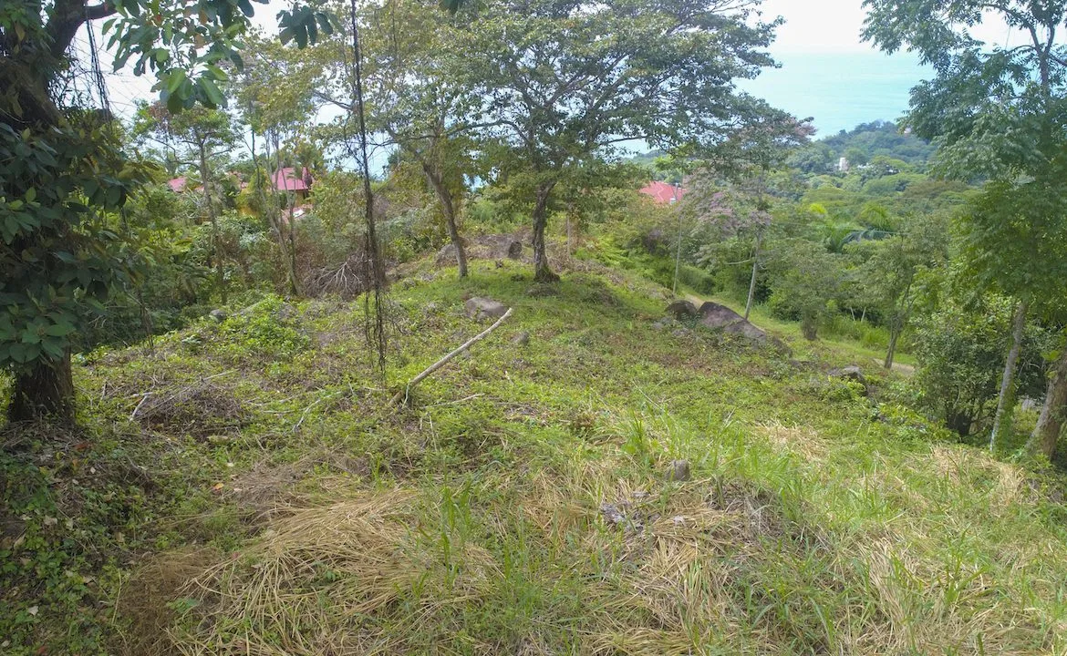 OCEAN VIEW LOT READY TO BUILD IN ESCALERAS – 1.18 ACRES, photo 19