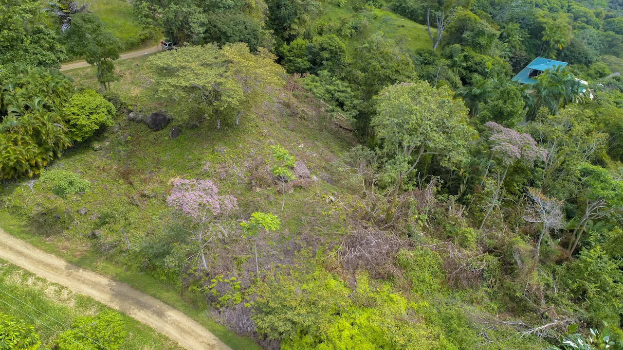 OCEAN VIEW LOT READY TO BUILD IN ESCALERAS – 1.18 ACRES, photo 20