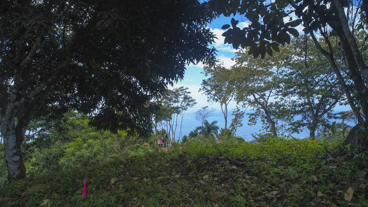 OCEAN VIEW LOT READY TO BUILD IN ESCALERAS – 1.18 ACRES, photo 3