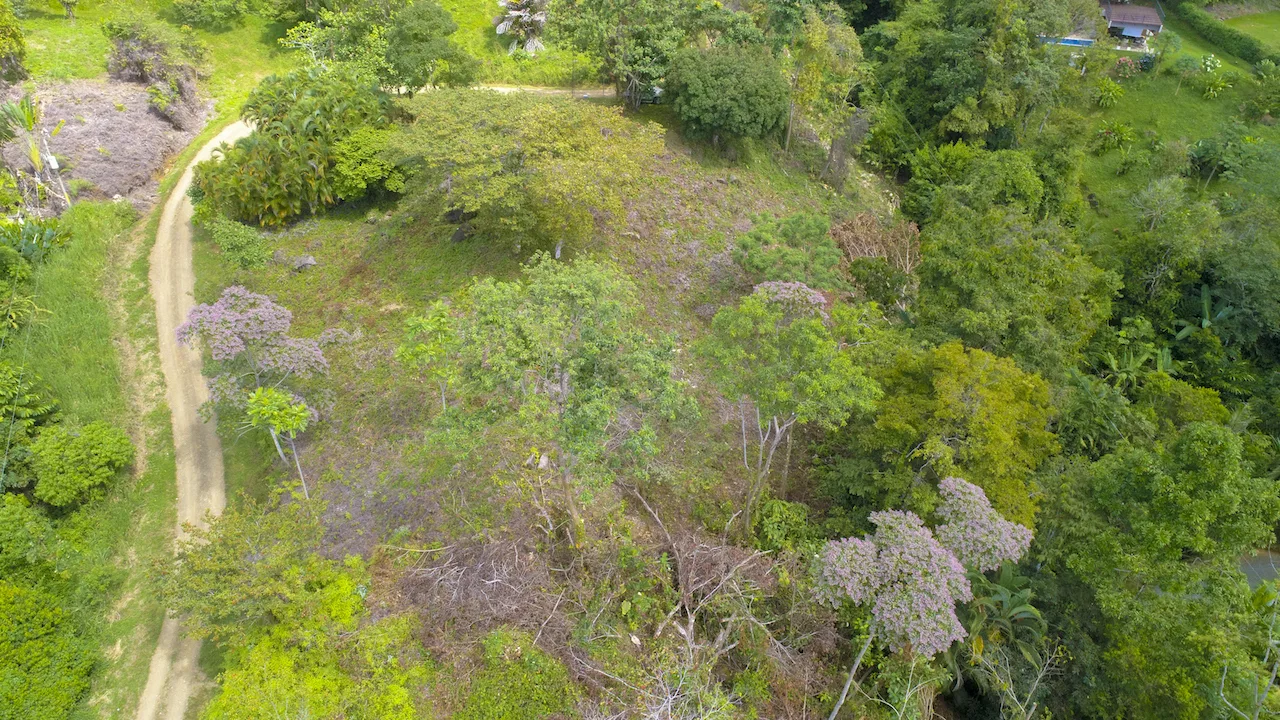OCEAN VIEW LOT READY TO BUILD IN ESCALERAS – 1.18 ACRES, photo 22