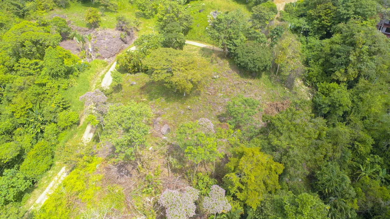 OCEAN VIEW LOT READY TO BUILD IN ESCALERAS – 1.18 ACRES, photo 24