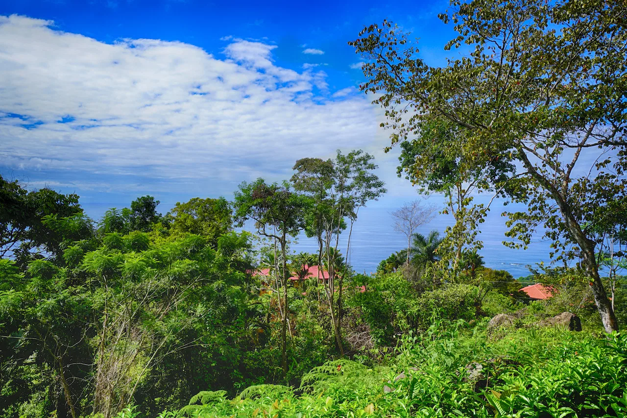 OCEAN VIEW LOT READY TO BUILD IN ESCALERAS – 1.18 ACRES, photo 6