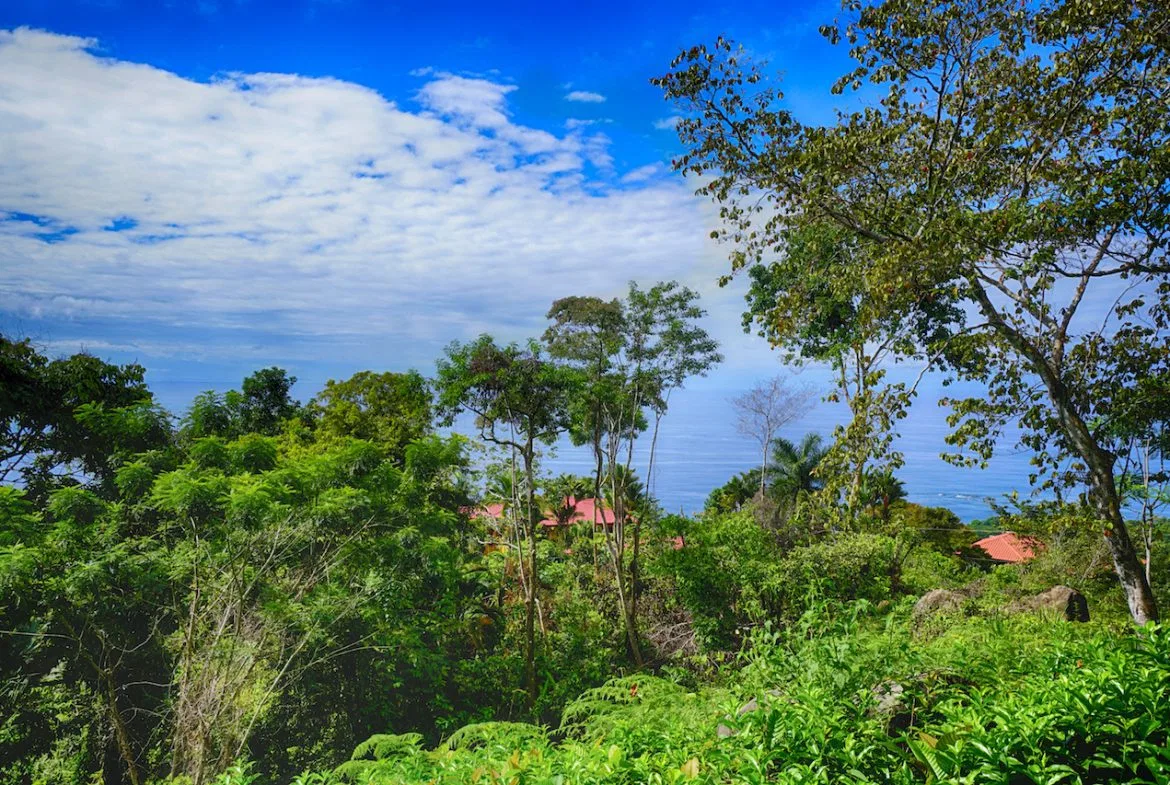OCEAN VIEW LOT READY TO BUILD IN ESCALERAS – 1.18 ACRES, photo 7