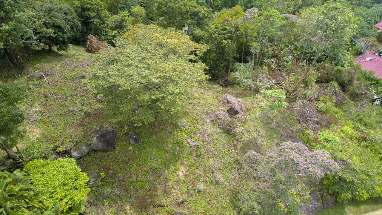 OCEAN VIEW LOT READY TO BUILD IN ESCALERAS – 1.18 ACRES, photo 8