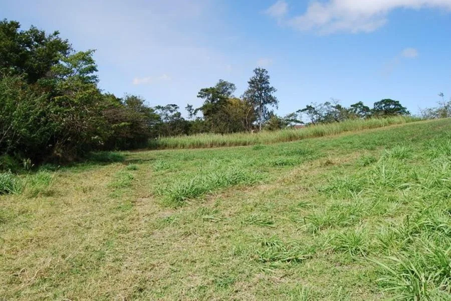 Venta de Lote en Vázquez de Coronado, San José. - Venta en Vasquez de Coronado