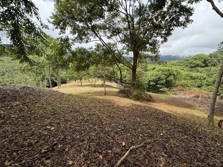 Diamante Waterfall View Land in Dominical 2.9 Acres, photo 11