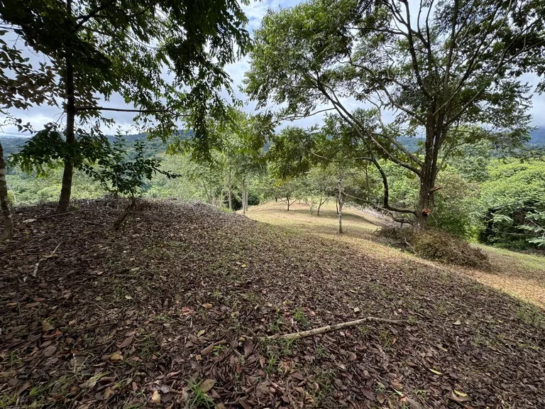 Diamante Waterfall View Land in Dominical 2.9 Acres, photo 12