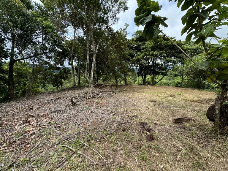 Diamante Waterfall View Land in Dominical 2.9 Acres, photo 13