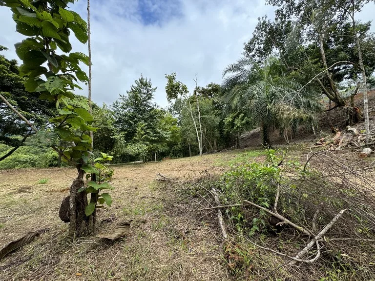 Diamante Waterfall View Land in Dominical 2.9 Acres, photo 14