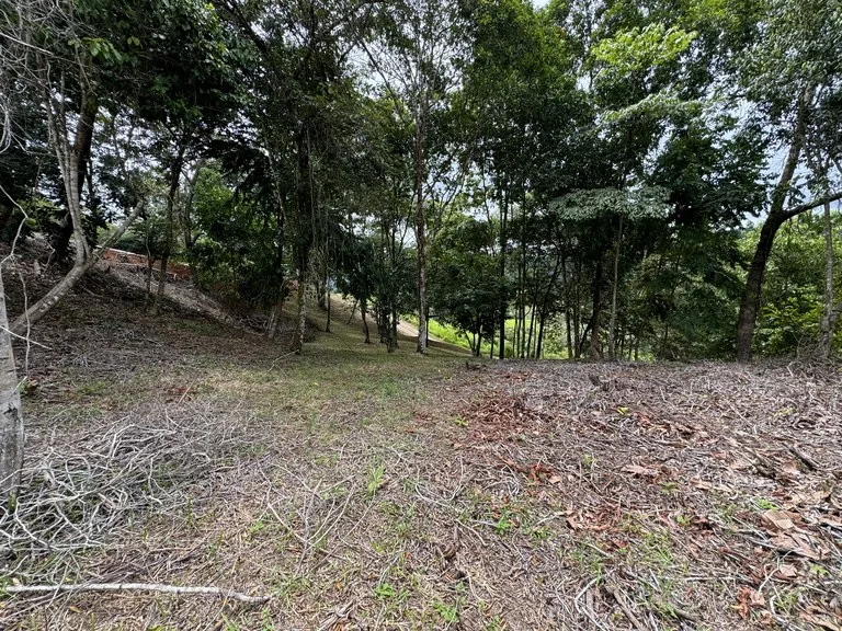 Diamante Waterfall View Land in Dominical 2.9 Acres, photo 15