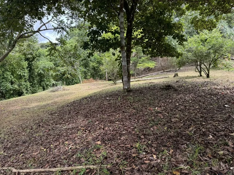 Diamante Waterfall View Land in Dominical 2.9 Acres, photo 6