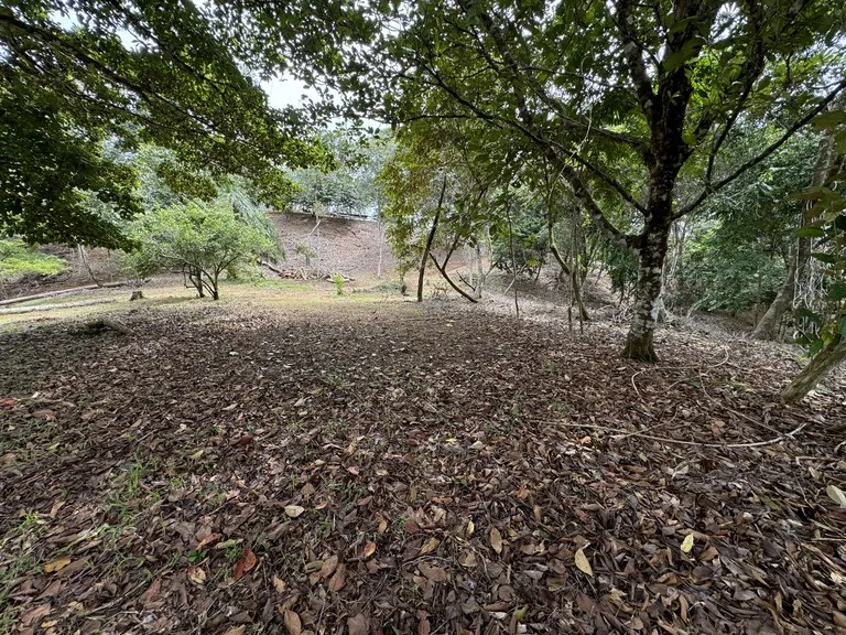 Diamante Waterfall View Land in Dominical 2.9 Acres, photo 7