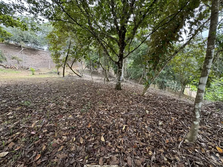 Diamante Waterfall View Land in Dominical 2.9 Acres, photo 8
