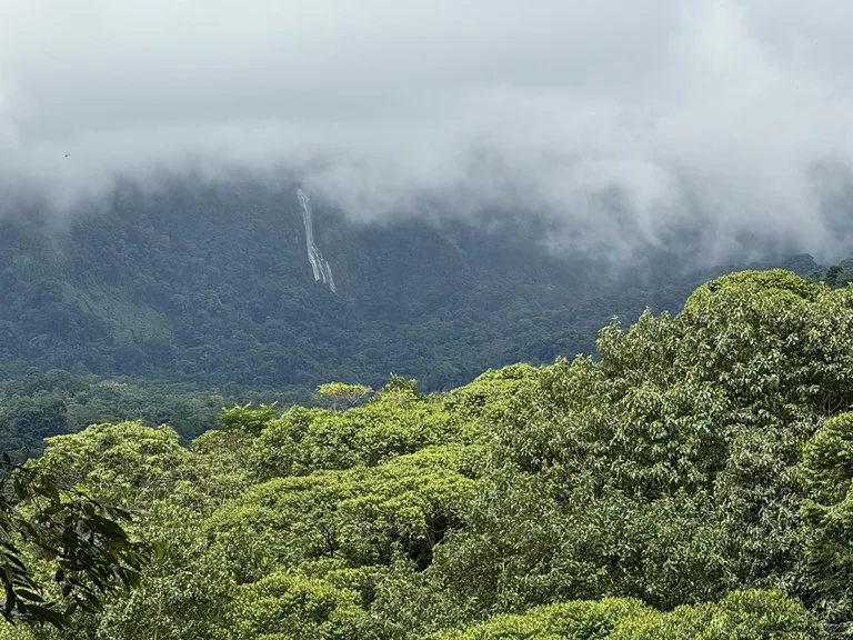 Diamante Waterfall View Land in Dominical 2.9 Acres, photo 10