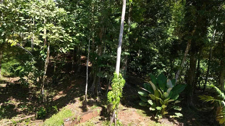Private Beach Community | 1,708 m² Build-Ready Lot in Ballena, photo 11