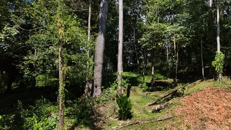 Private Beach Community | 1,708 m² Build-Ready Lot in Ballena, photo 10