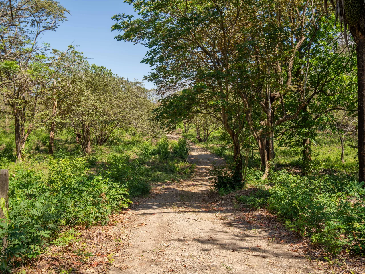 Finca Punta Indio: Dream Investment Opportunity, photo 6
