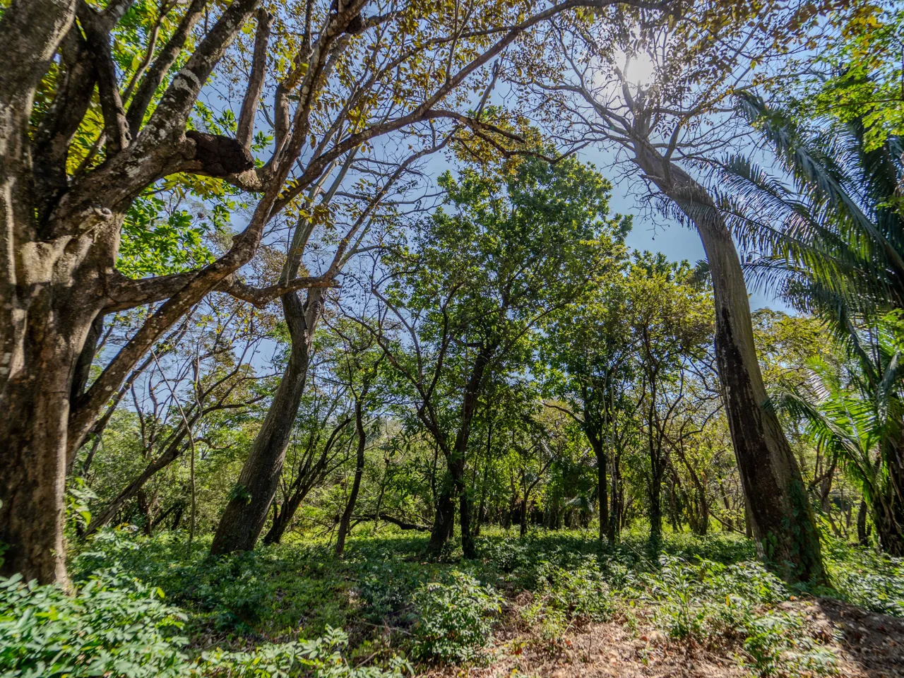 Finca Punta Indio: Dream Investment Opportunity, photo 7