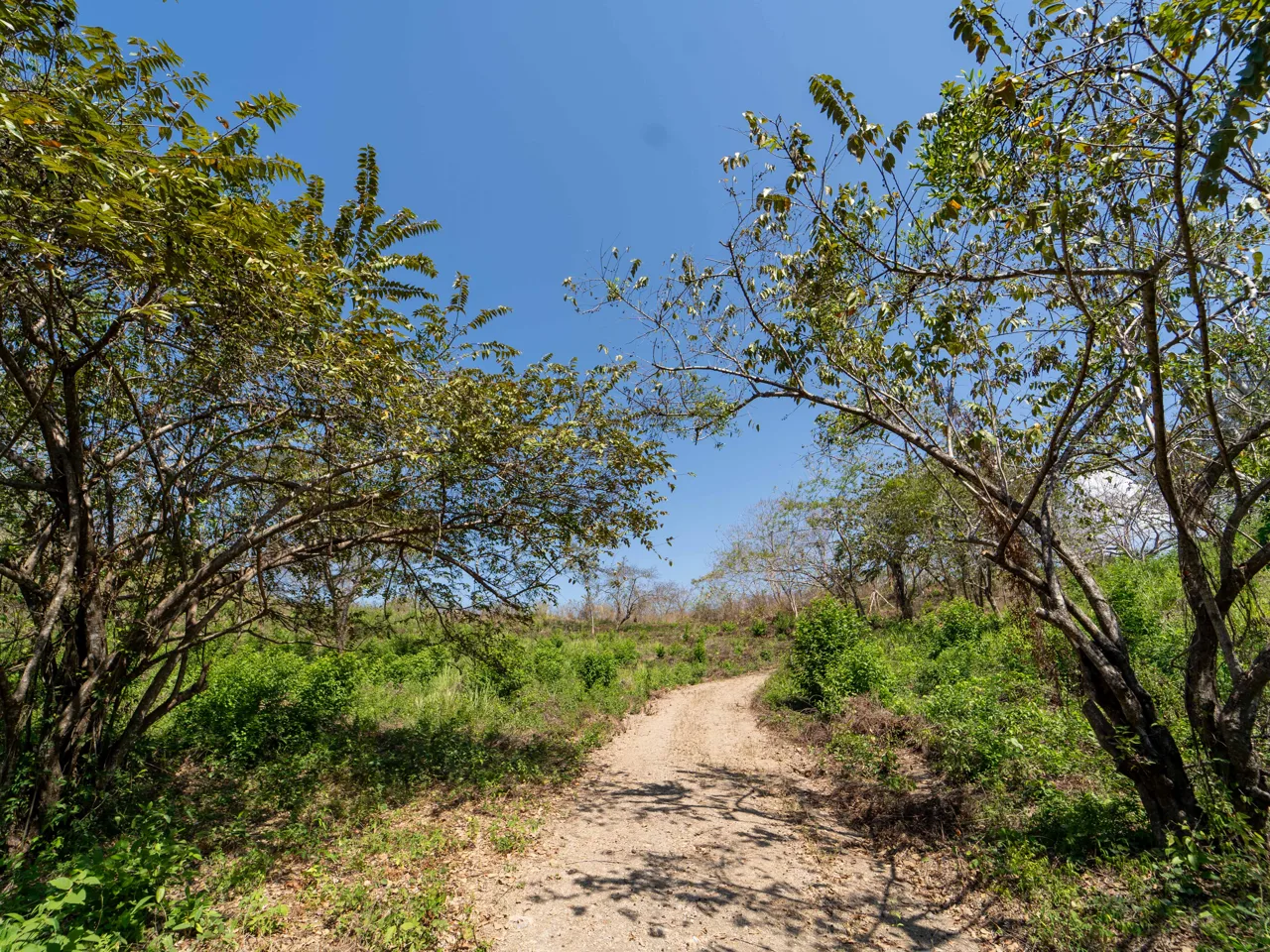 Finca Punta Indio: Dream Investment Opportunity, photo 8