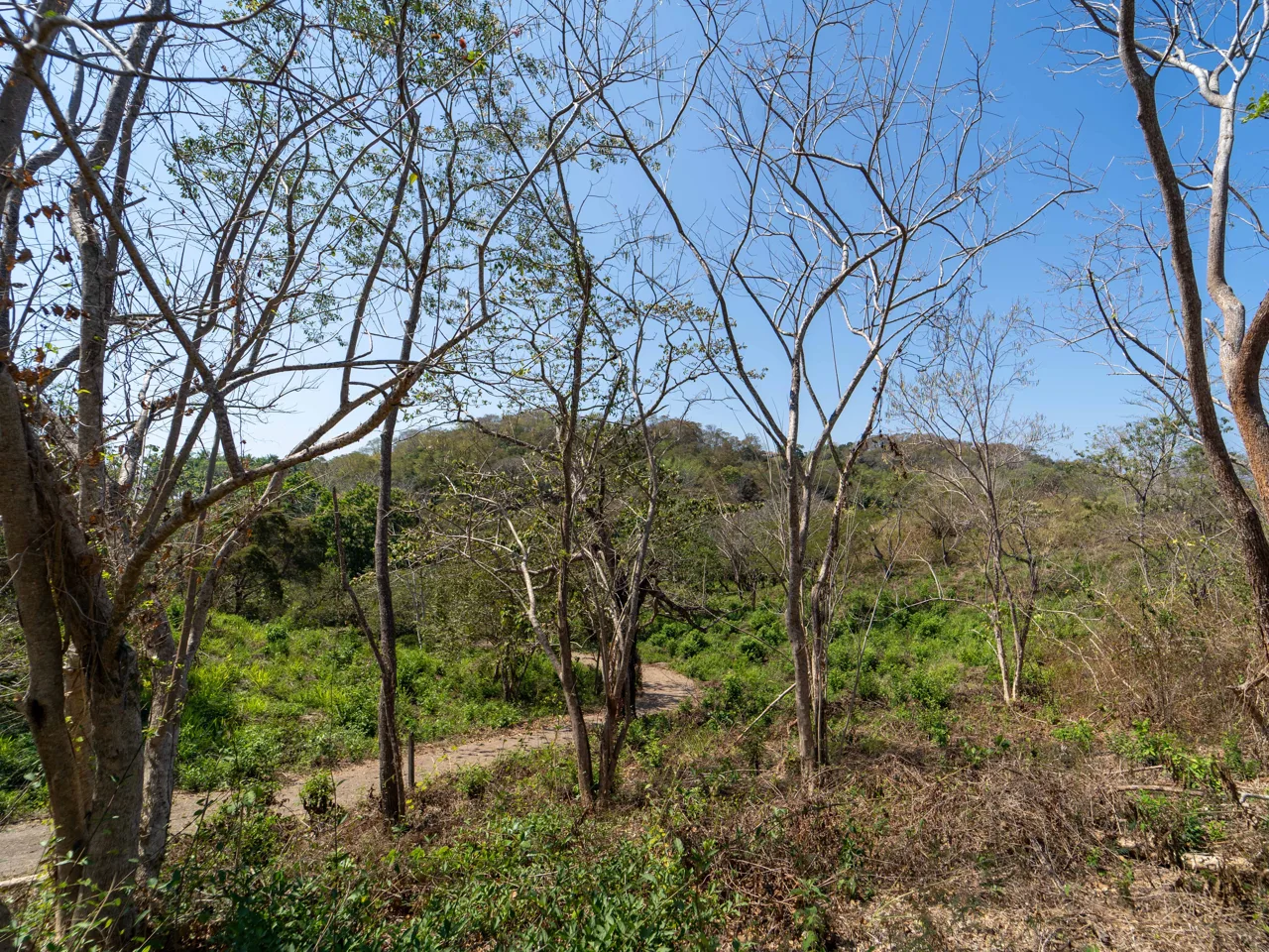 Finca Punta Indio: Dream Investment Opportunity, photo 10