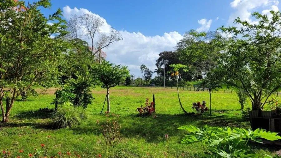 Venta de terreno en Matama Limón - Venta en Matama