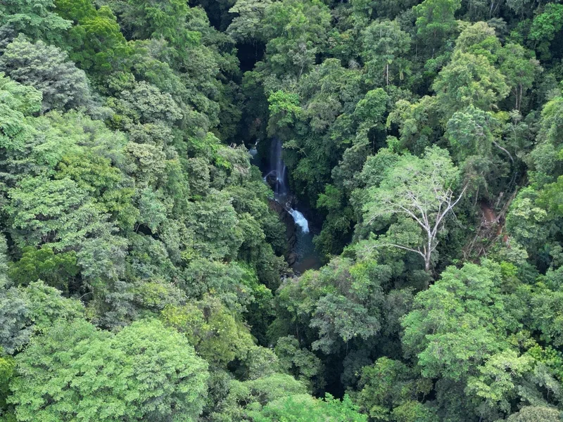Land For Sale in Perez Zeledon, photo 5