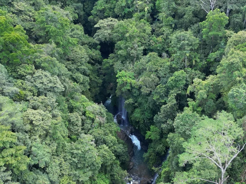 Land For Sale in Perez Zeledon, photo 6