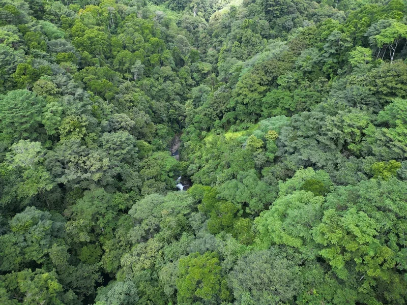 Land For Sale in Perez Zeledon, photo 7