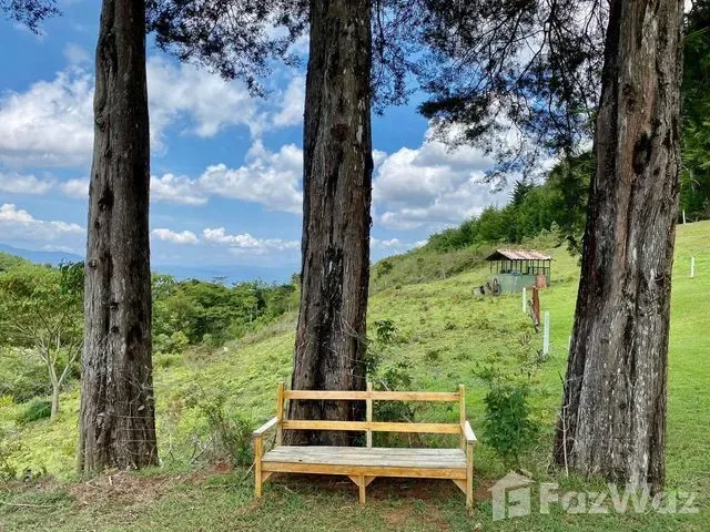 Land for Sale at Bo. Jesús for $2,200,000, photo 6