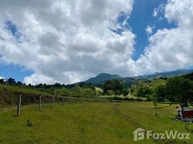 Land for Sale at Bo. Jesús for $2,200,000, photo 9