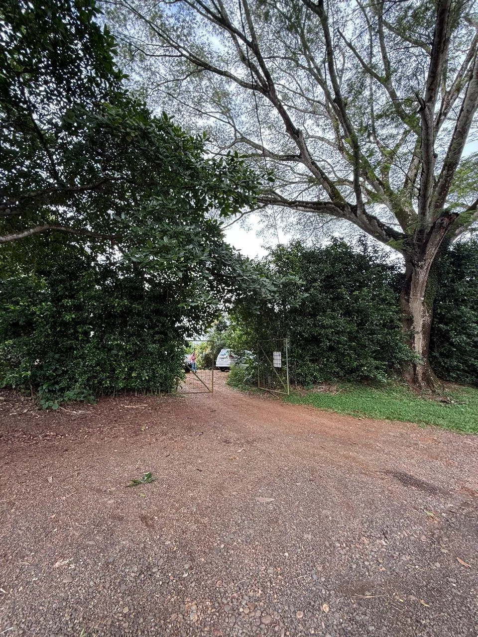 Productive Mango Farm for Sale in Turrubares el Llano, Costa Rica | 62,281 m² - RE/MAX Tierra de Oro, photo 6