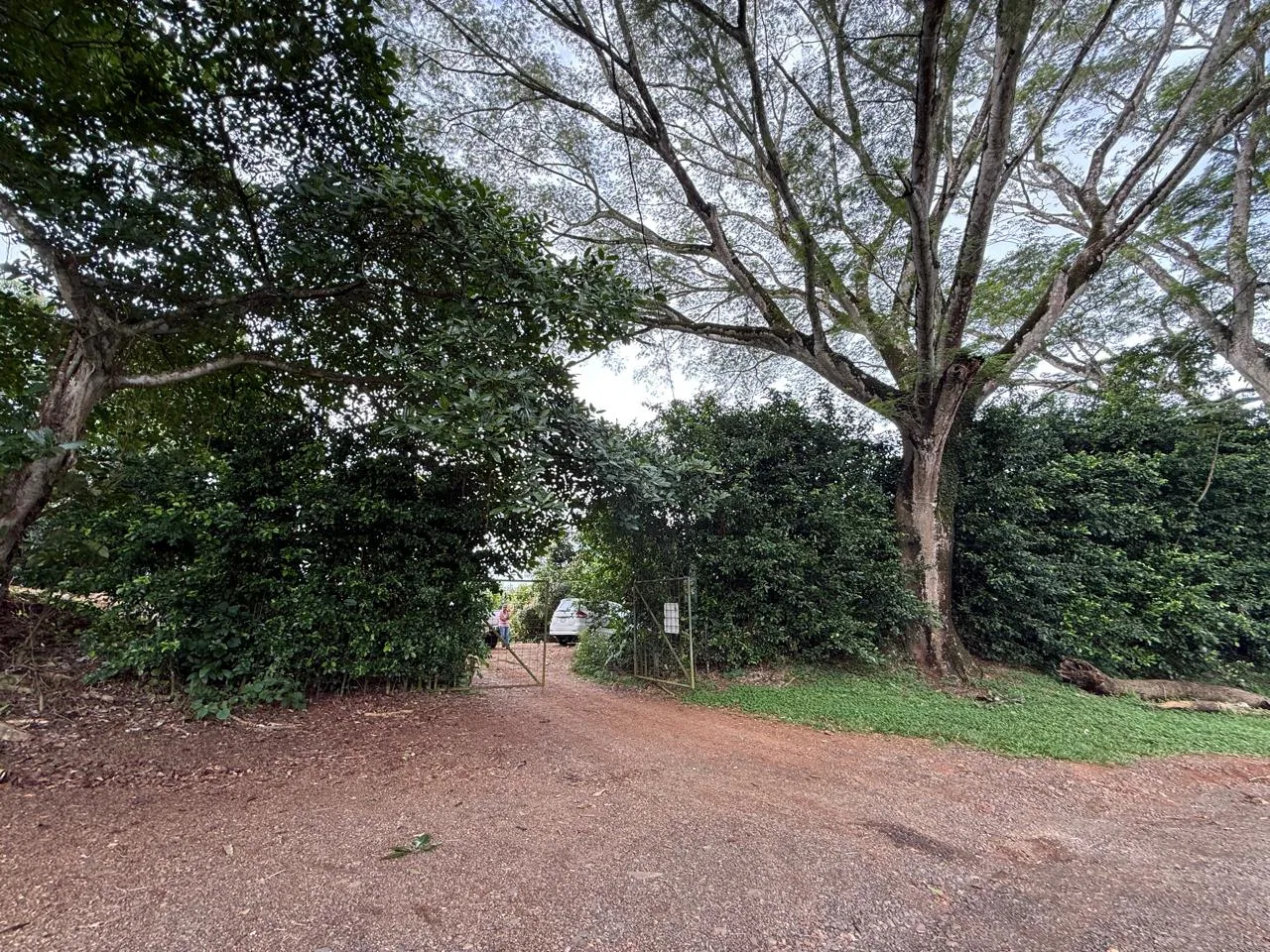Productive Mango Farm for Sale in Turrubares el Llano, Costa Rica | 62,281 m² - RE/MAX Tierra de Oro, photo 8