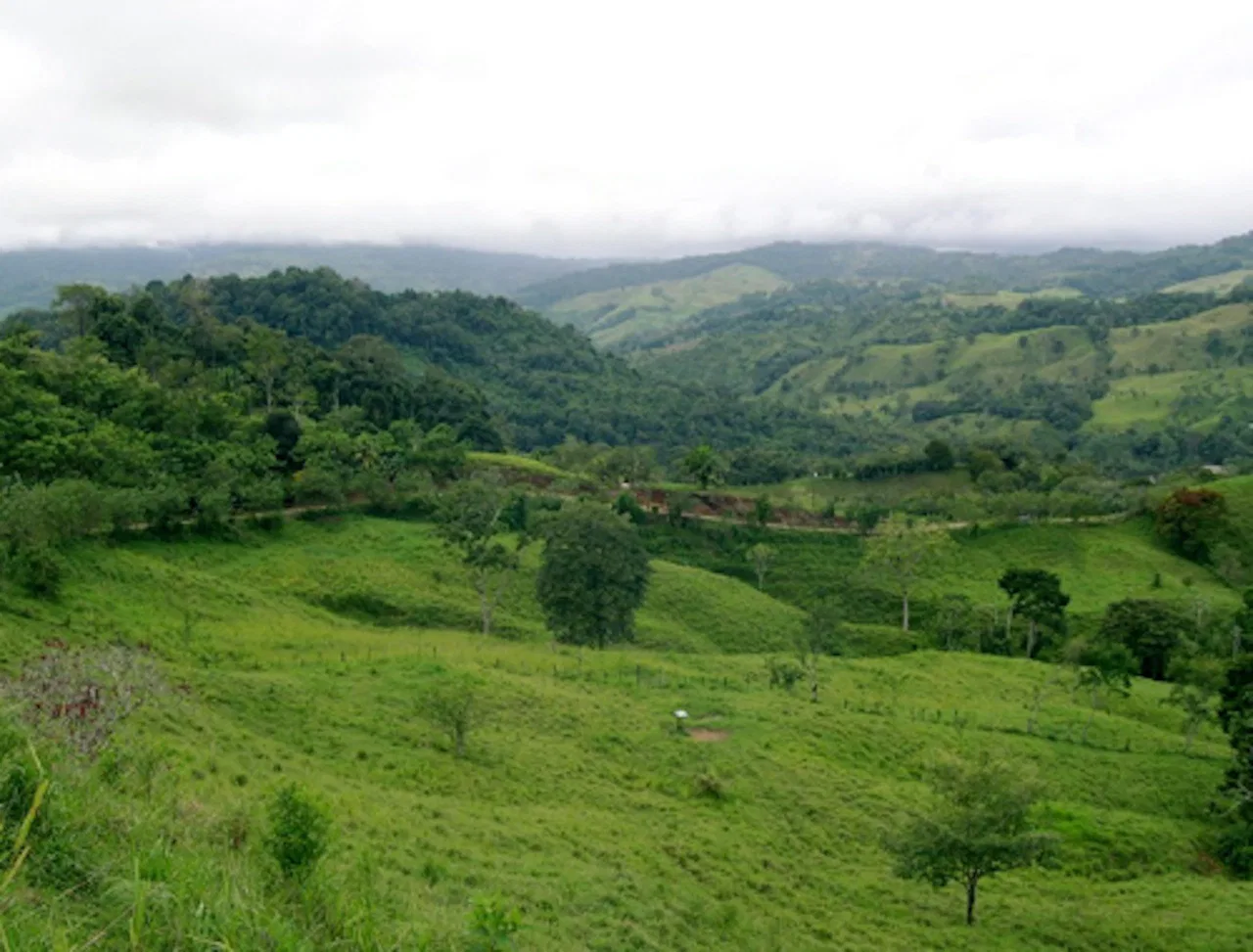 PRIVATE MOUNTAIN SANCTUARY WITH WATERFALLS, RIVER ACCESS AND FOREST – 40 ACRES
