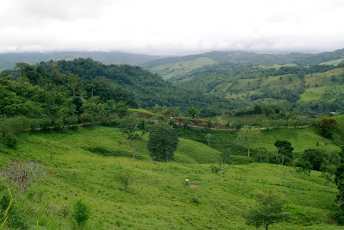 PRIVATE MOUNTAIN SANCTUARY WITH WATERFALLS, RIVER ACCESS AND FOREST – 40 ACRES, photo 2